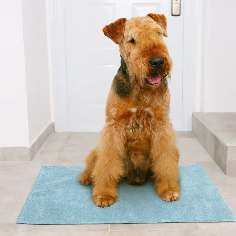 Waterproof Pet Cooling Mat 2