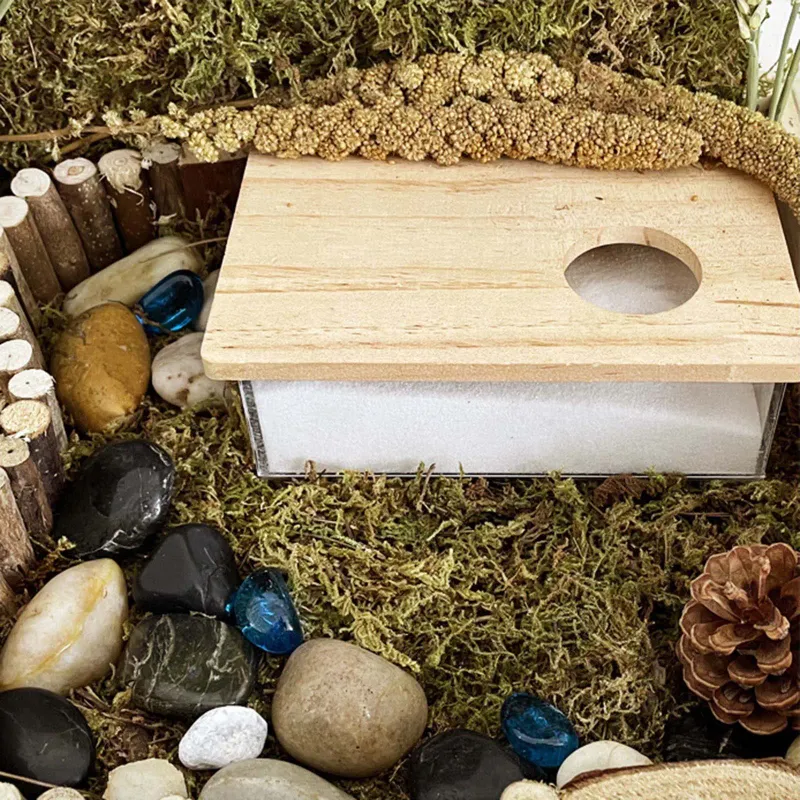 Clear Hamster Bathroom Sand Box 4