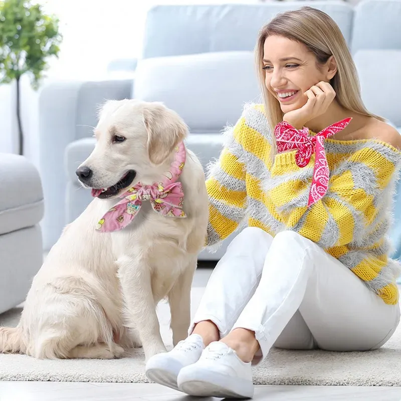 Dog Cooling Collar & Ice Scarf 4