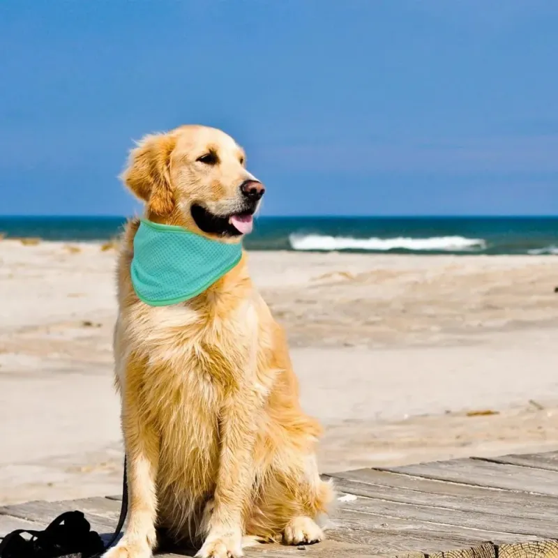 Adjustable Dog Cooling Bandana 5