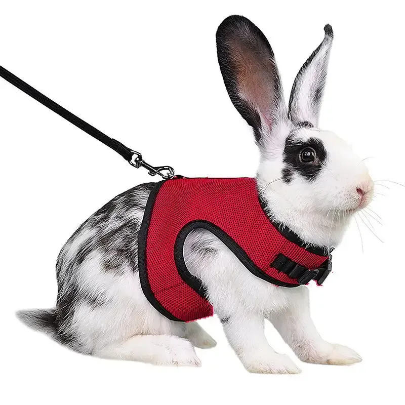 Breathable Small Pet Harness & Leash Set 6