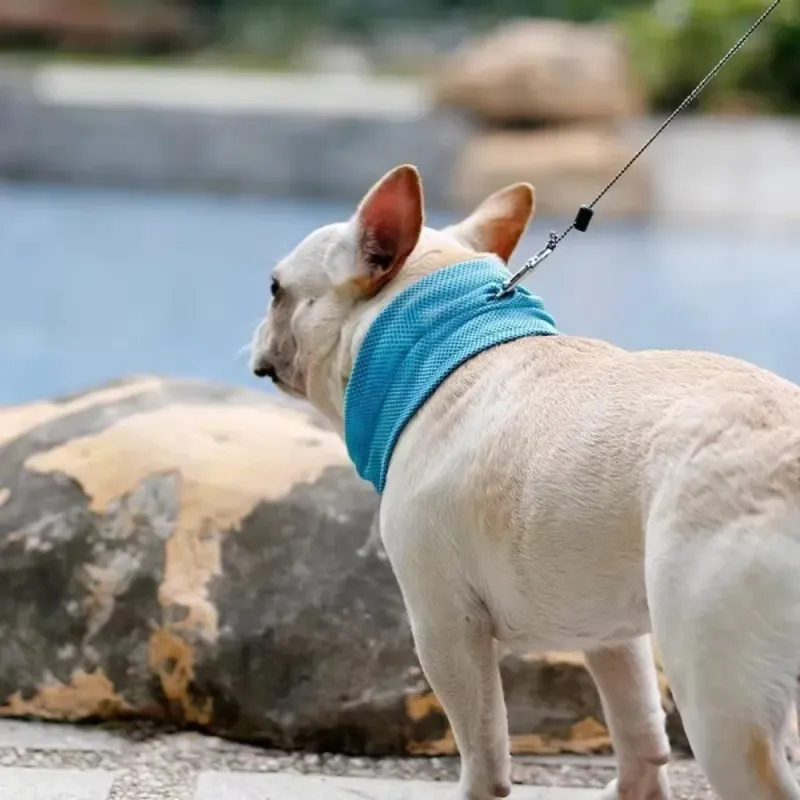 Reusable Pet Cooling Ice Towel 3