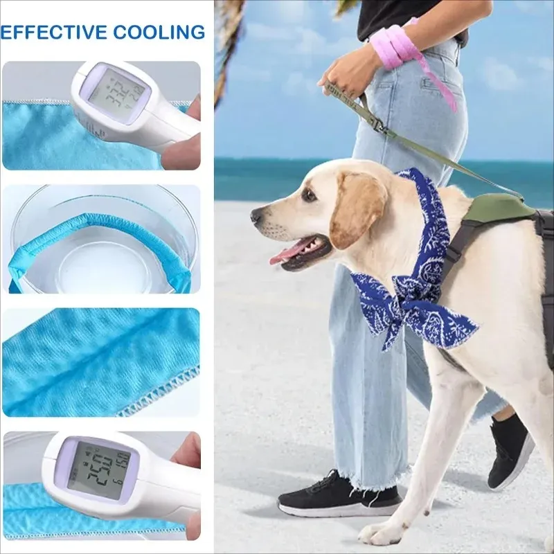 Cartoon Pet Ice Scarf Cooling Wrap 3