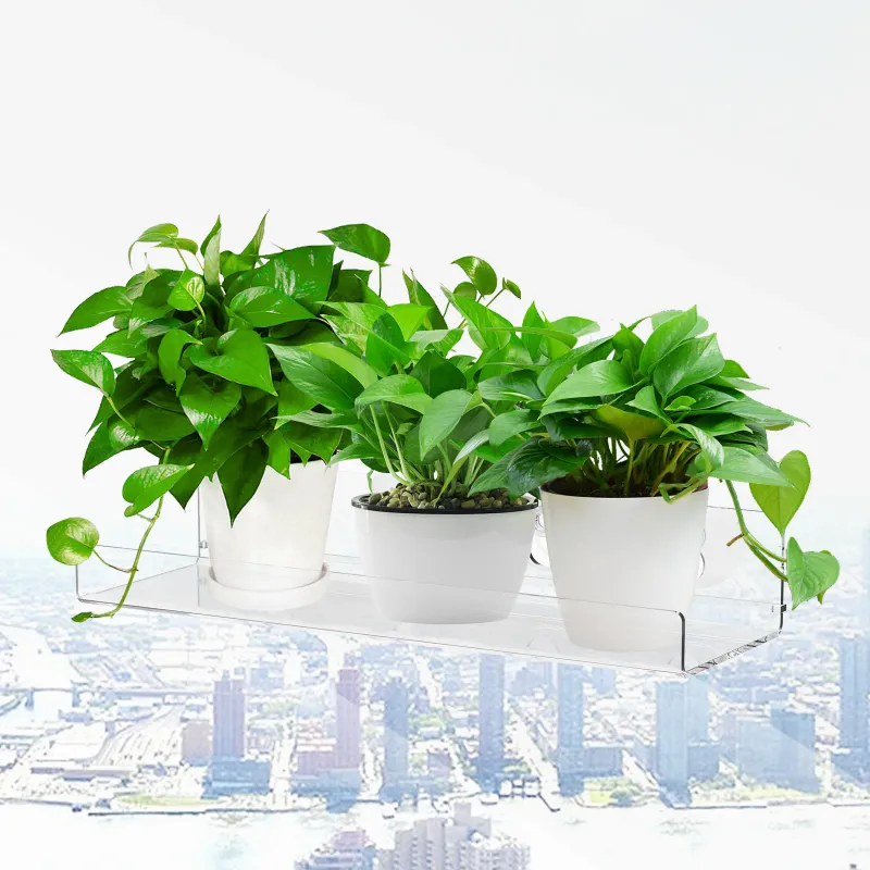 Acrylic Window Plant Shelves 2