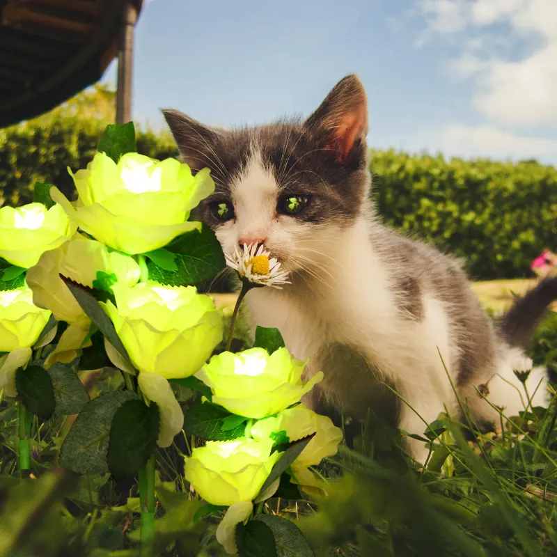 Solar LED Rose Flower Light 6
