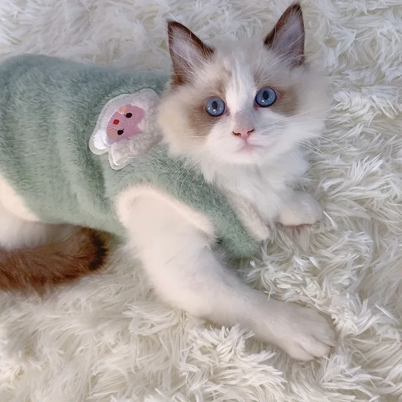 Warm Winter Pet Sweater Vest 3