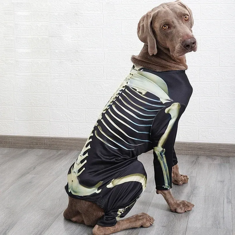 Skeleton Dog Halloween Costume Large 3