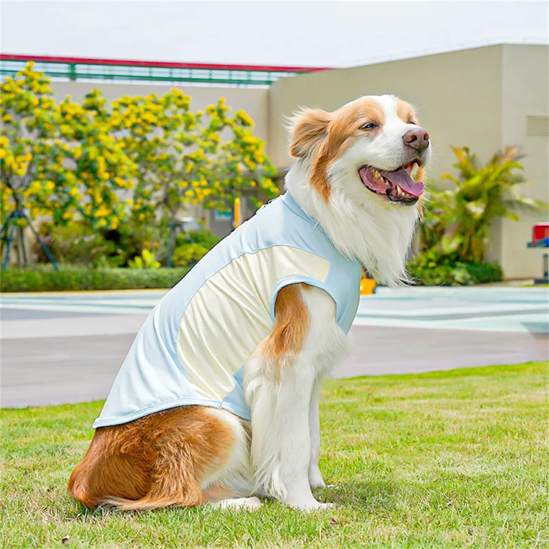 Ice Silk Cooling Puppy Vest 2