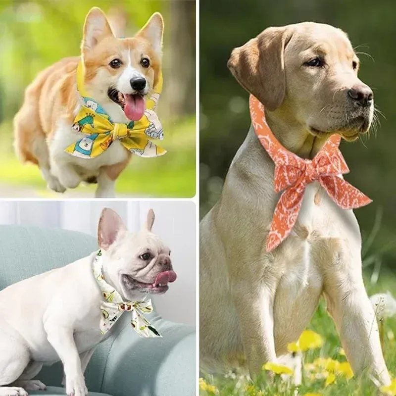 Pet Cooling Ice Scarf Collar 2