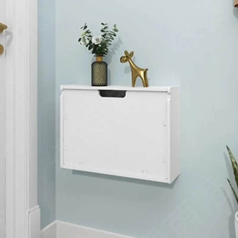 Flip-Down Shoe Cabinet 5