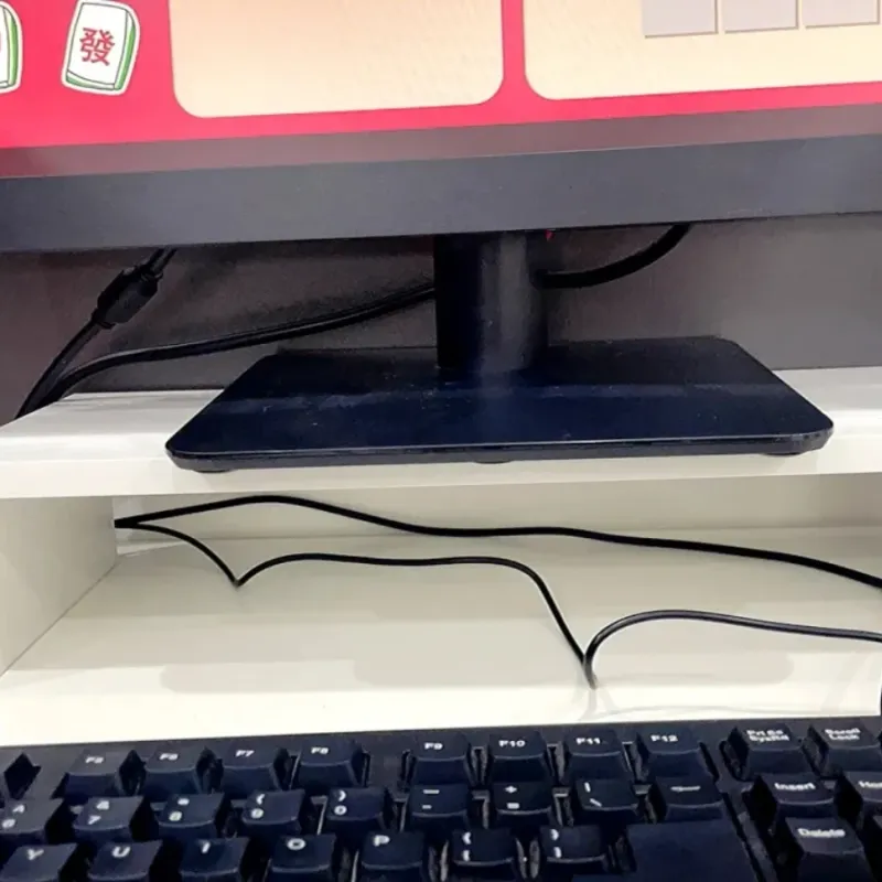 Ergonomic Monitor Riser Stand with Storage 4