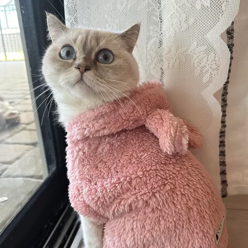 Fleece Warm Cat Costume Sweater 2