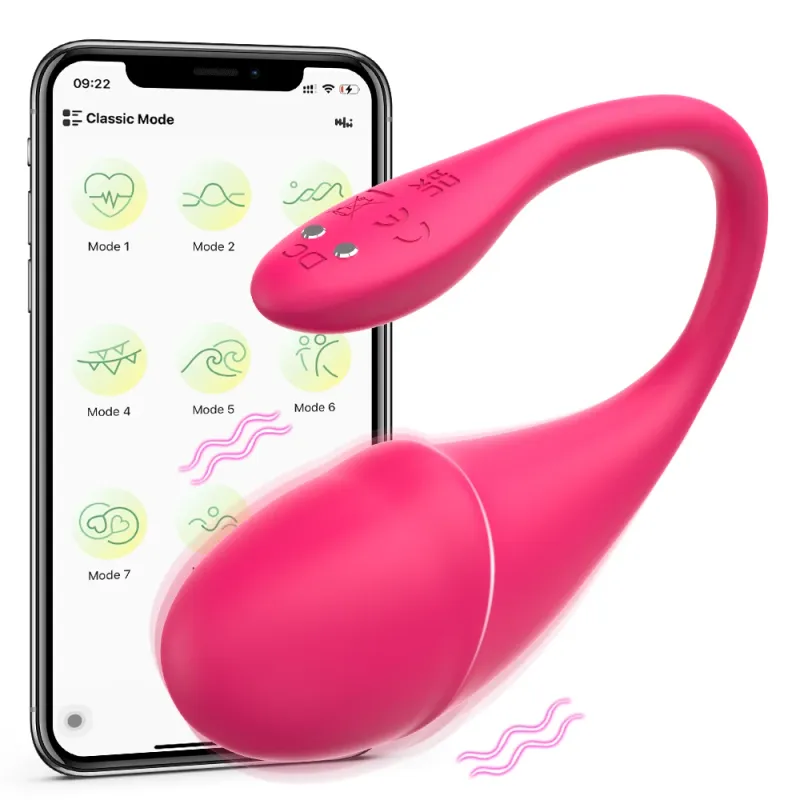 Wireless Remote Panties Vibrator with App 1