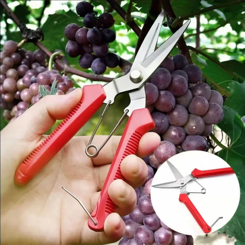 Stainless Steel Straight Head Pruning Shears 2