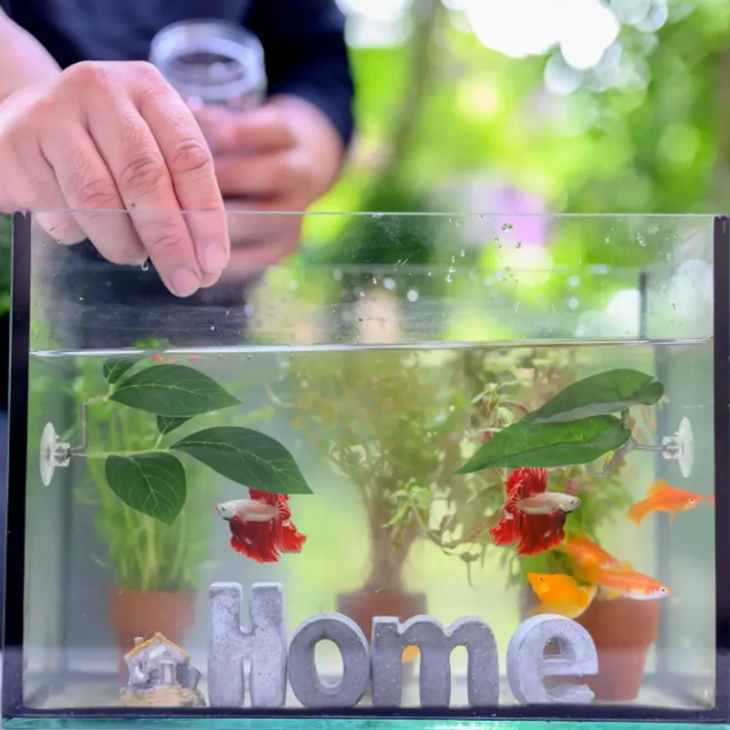 Betta Fish Hammock Resting Bed 4