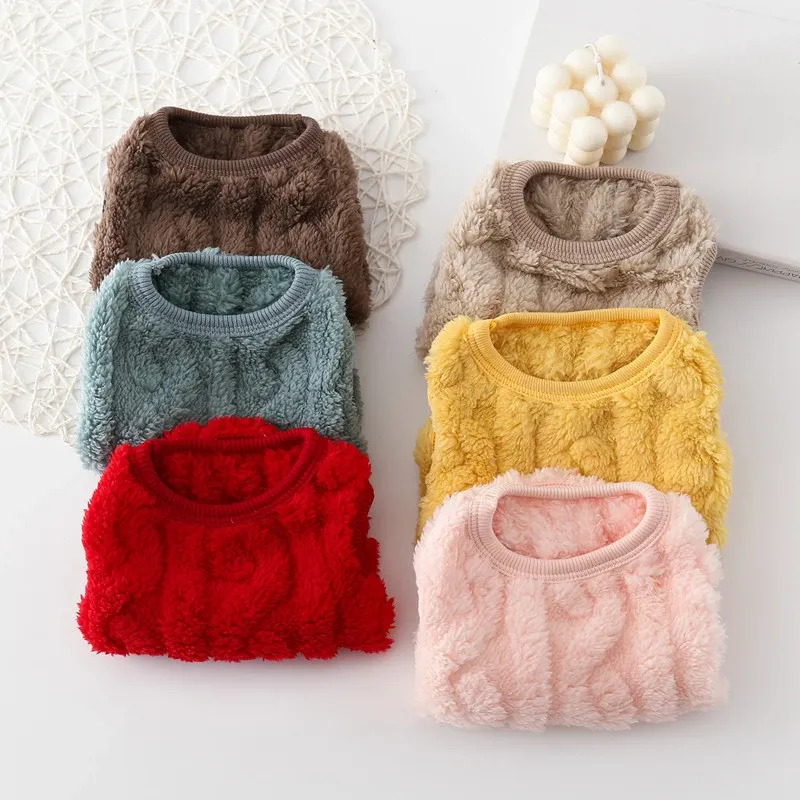 Cute Small Dog Winter Sweater Hoodie 1