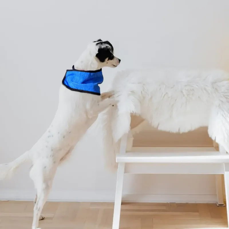 Cooling Dog Bandana Scarf 1