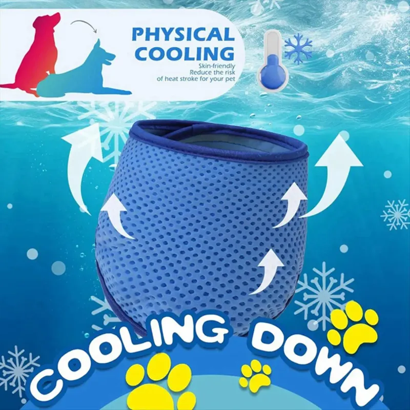 ABKM Dog Cooling Bandana 2 Pack 2