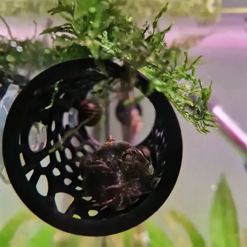 Betta Fish Hideout Tube Ornament 4