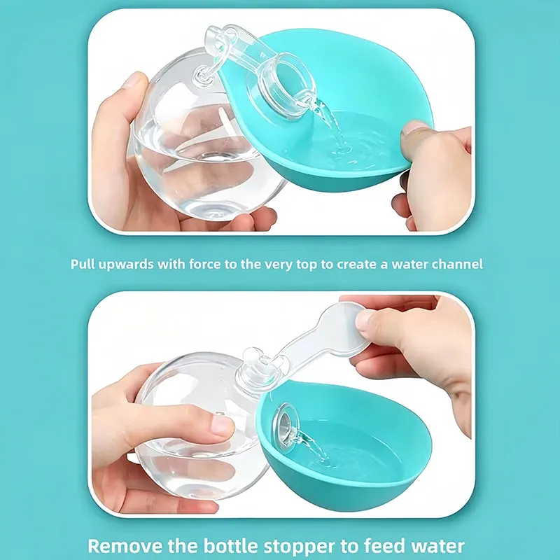 Collapsible Pet Water Bottle with Bowl 6
