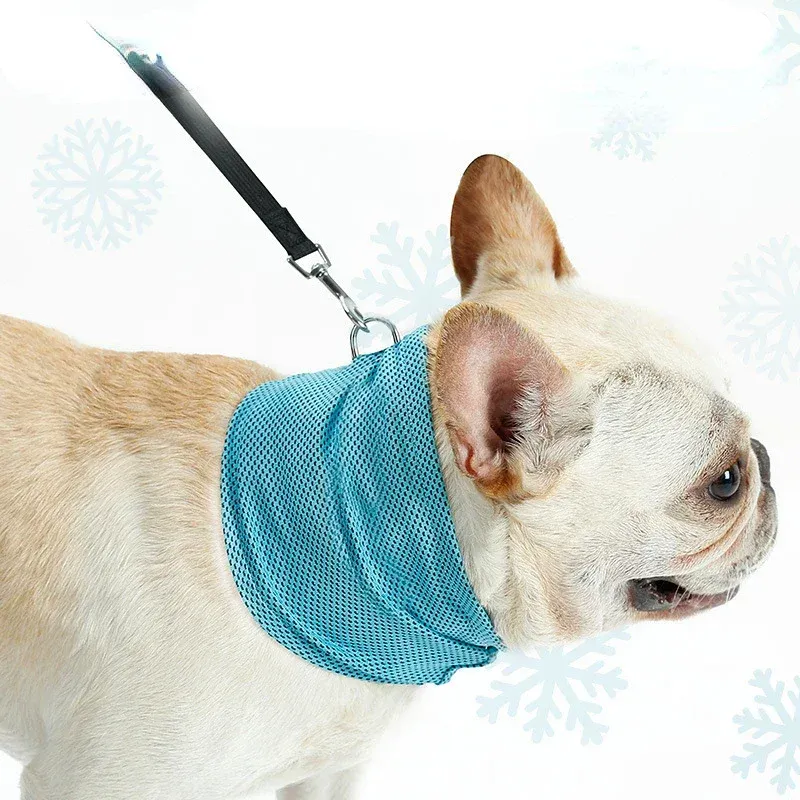 Cooling Bandana for Dogs 3