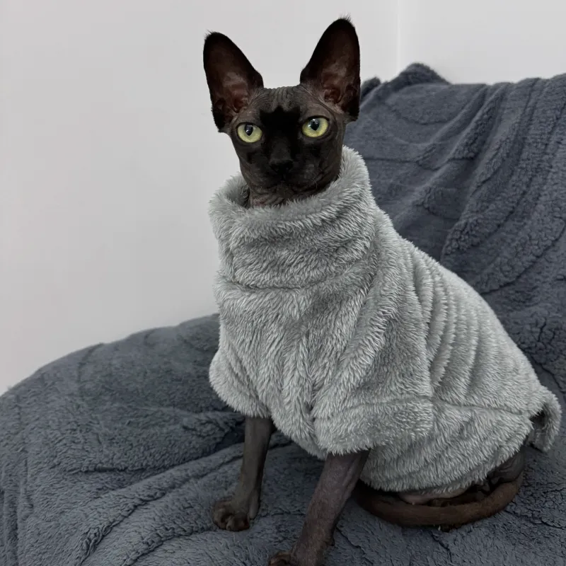 Arctic Velvet Cat Sweater 2