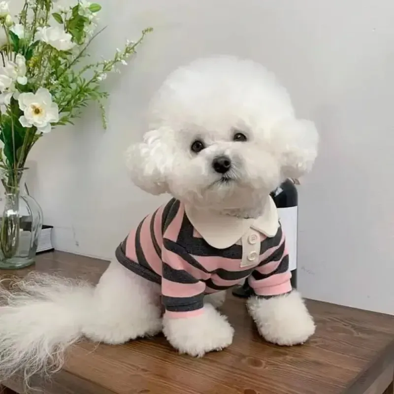 Cooling Polo Vest for Dogs 2