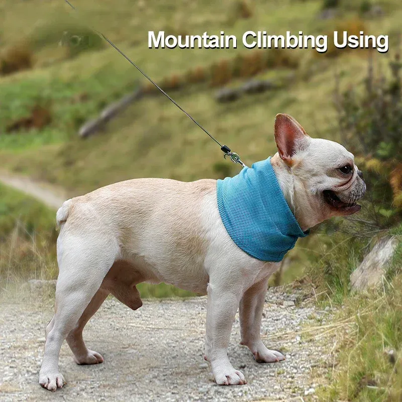 Cooling Bandana for Dogs 5