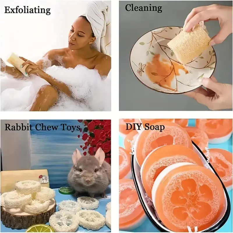 Egyptian Loofah Body Scrubber 3