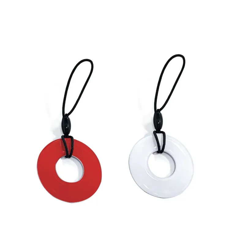 5PCS NFC Epoxy Keychain Tags 1
