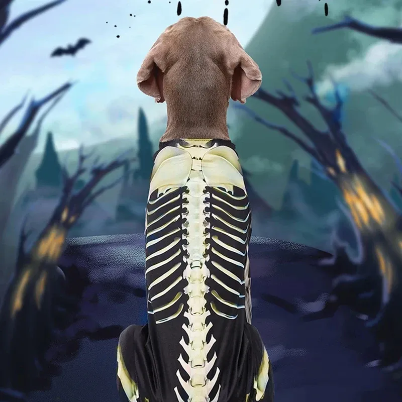 Skeleton Dog Halloween Costume Large 6