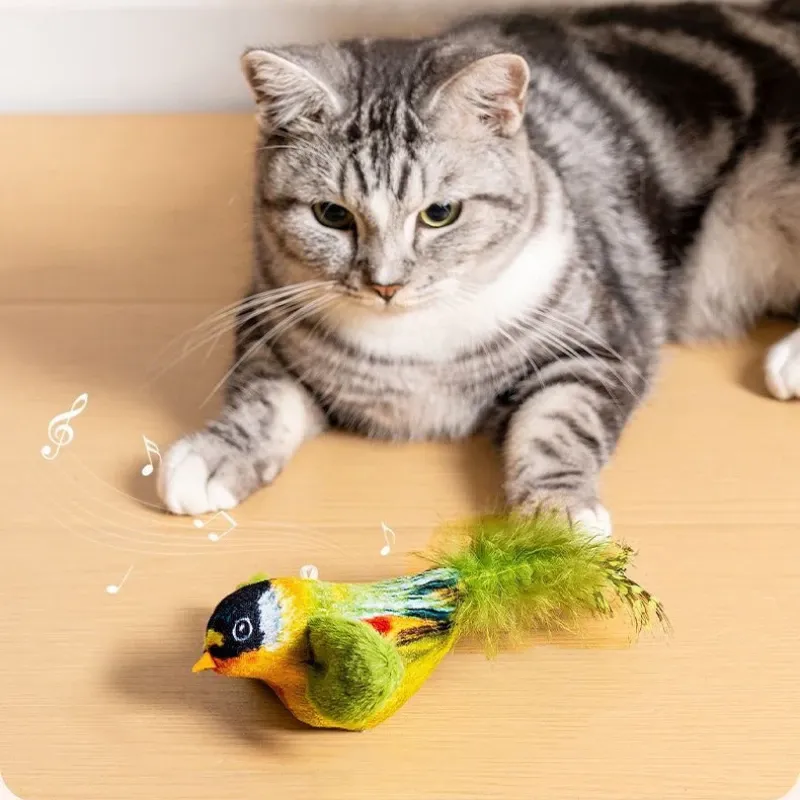 Interactive Bird Cat Toy with Catnip 5