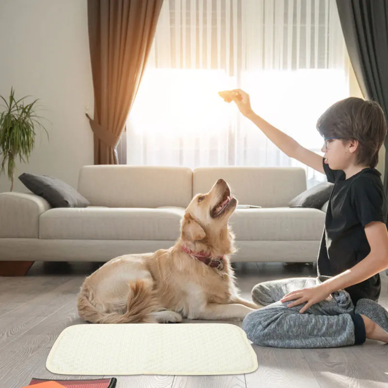 Pet Cooling Mat - Summer Cooling Pad 3