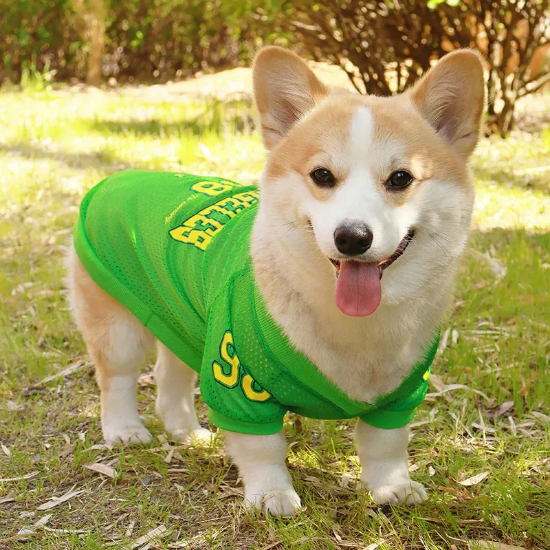 LA Style Dog Cooling Vest 3