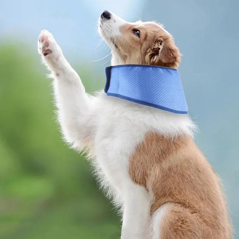 Dog Cooling Scarf Bandana 4