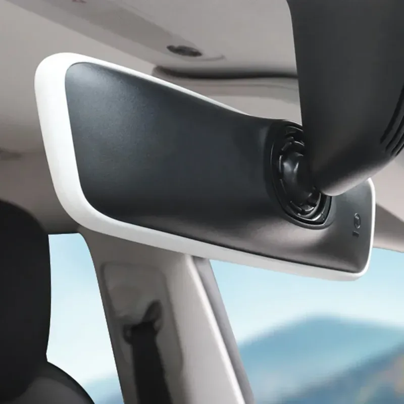 Tesla Mirror Protector Frame 1