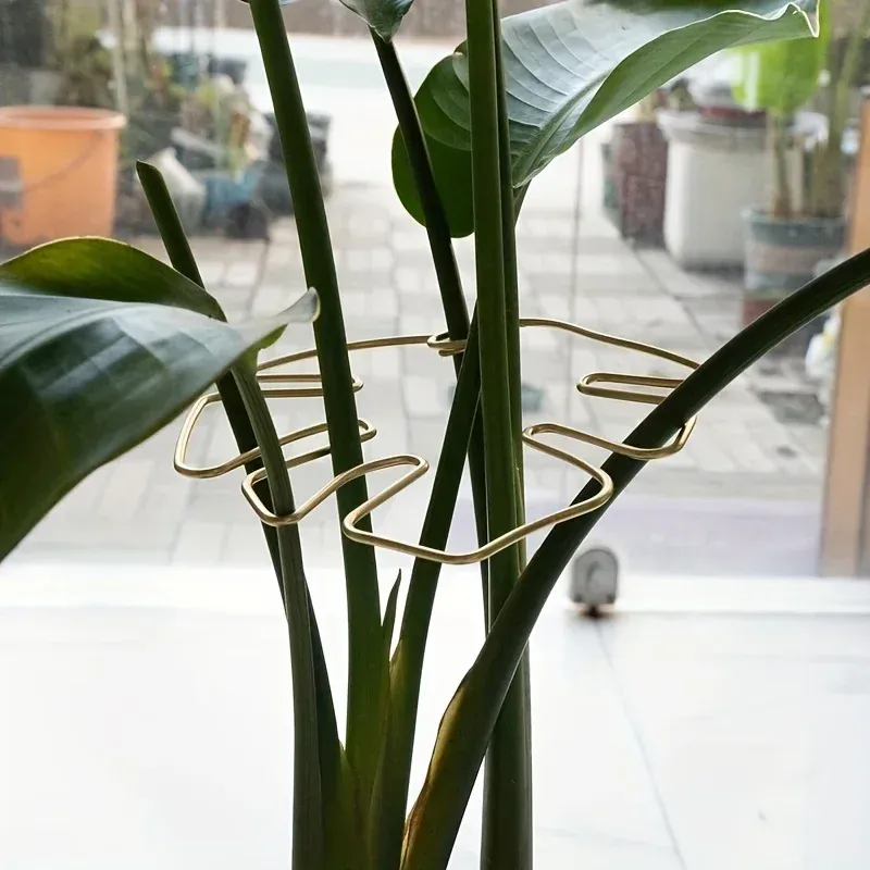 Large Hanging Plant Stand with Iron Hooks 4
