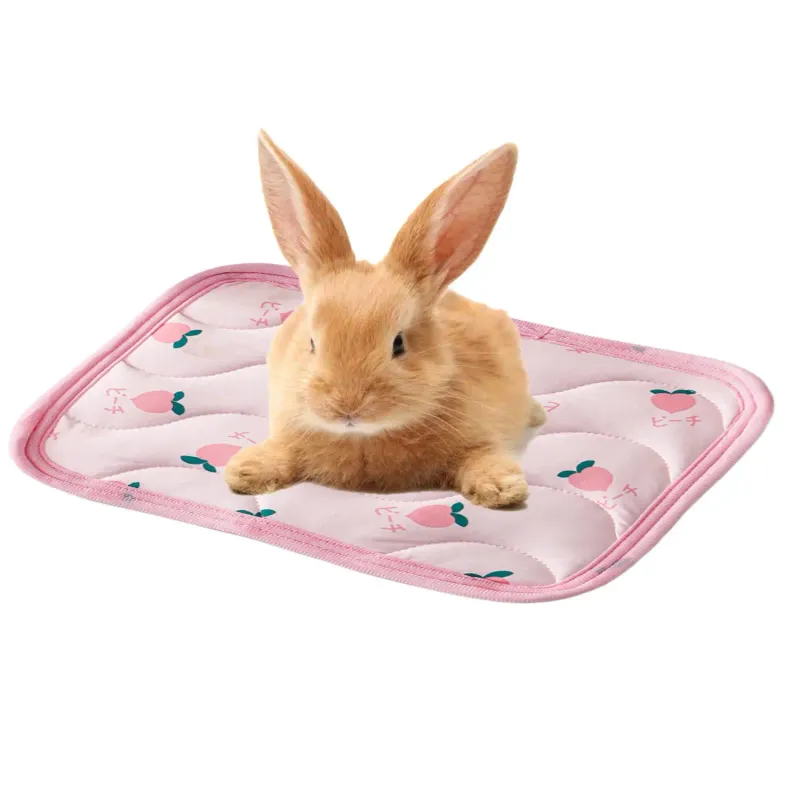 Pet Cooling Mat for Summer 3