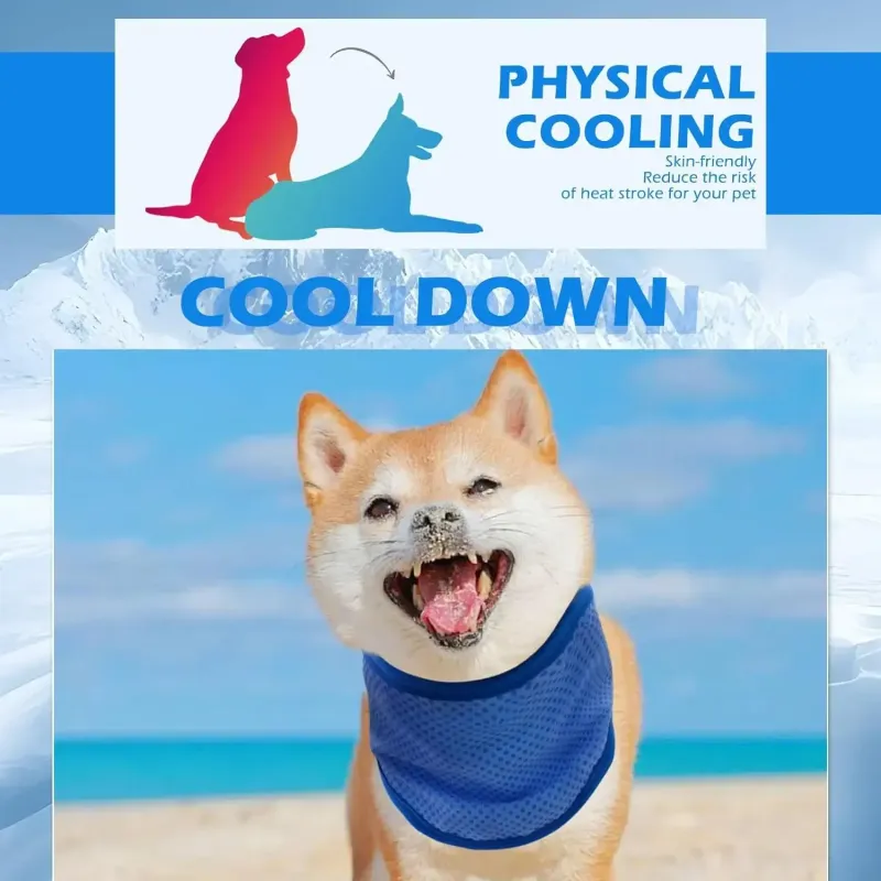 Pet Cooling Scarf for Dogs 5