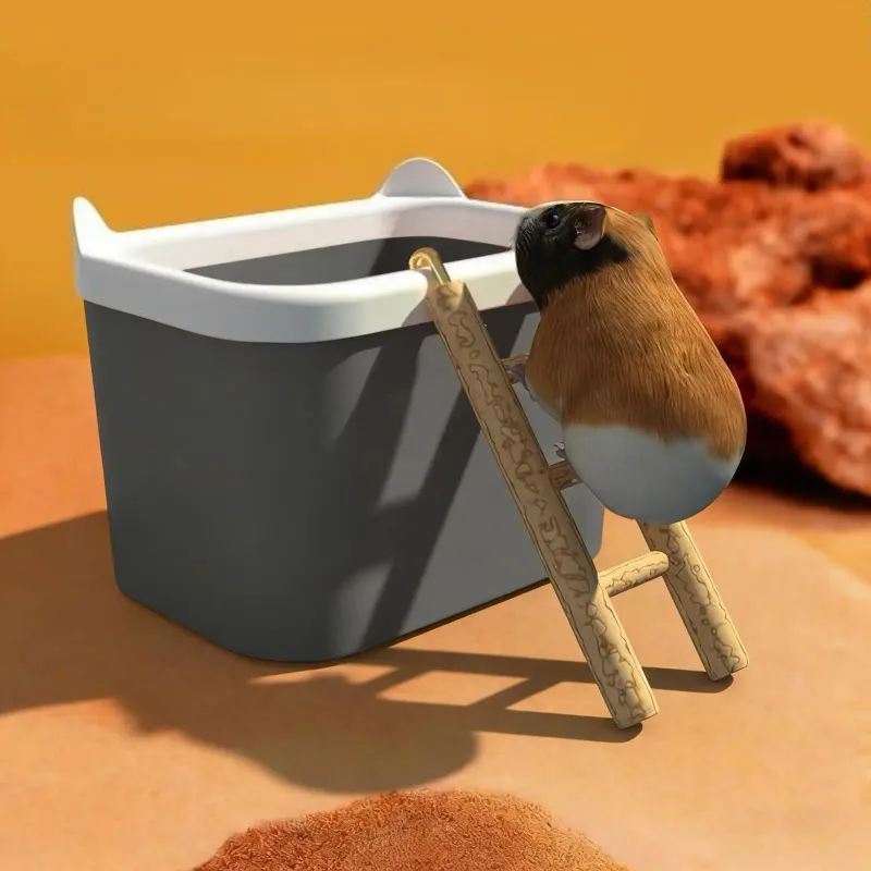 Hamster Sand Bath Box with Ladder 3