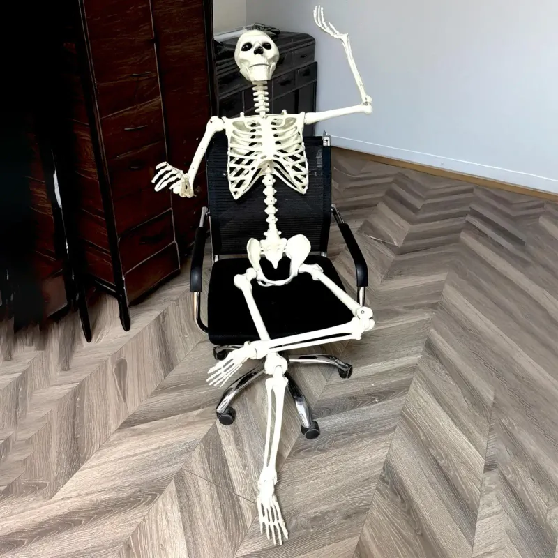 Life-Size Posable Skeleton Halloween Prop 2