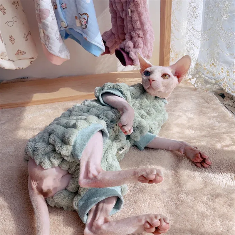 Sphynx Cat Turtleneck Sweater 1