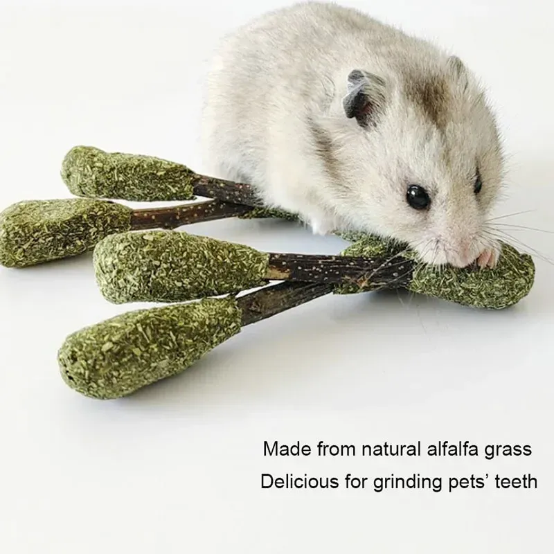 Golden Bear Hamster Foraging Bite Toy 4