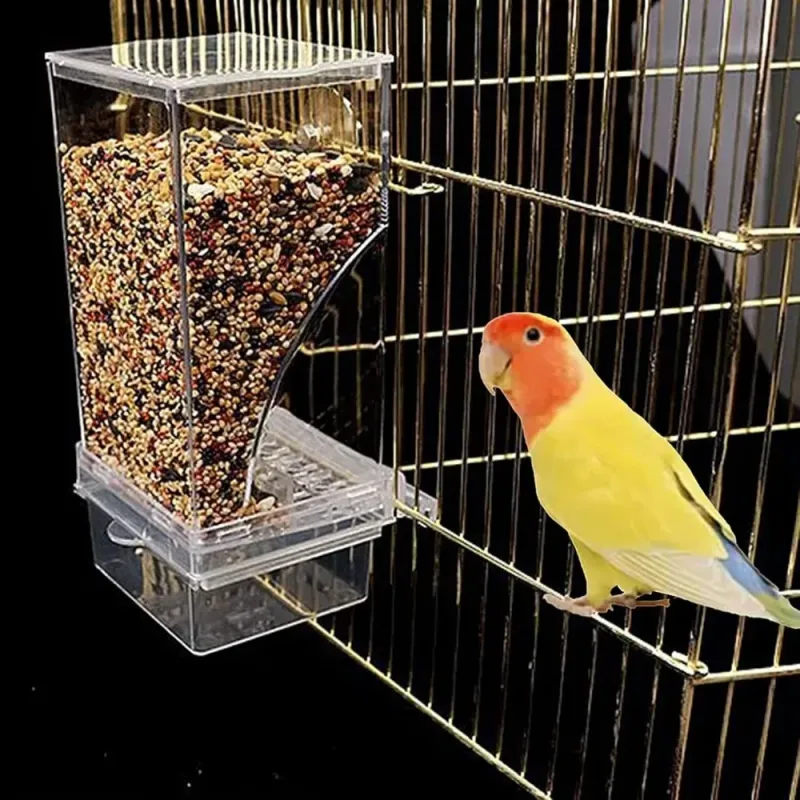 Automatic Parrot Feeder Drinker 2