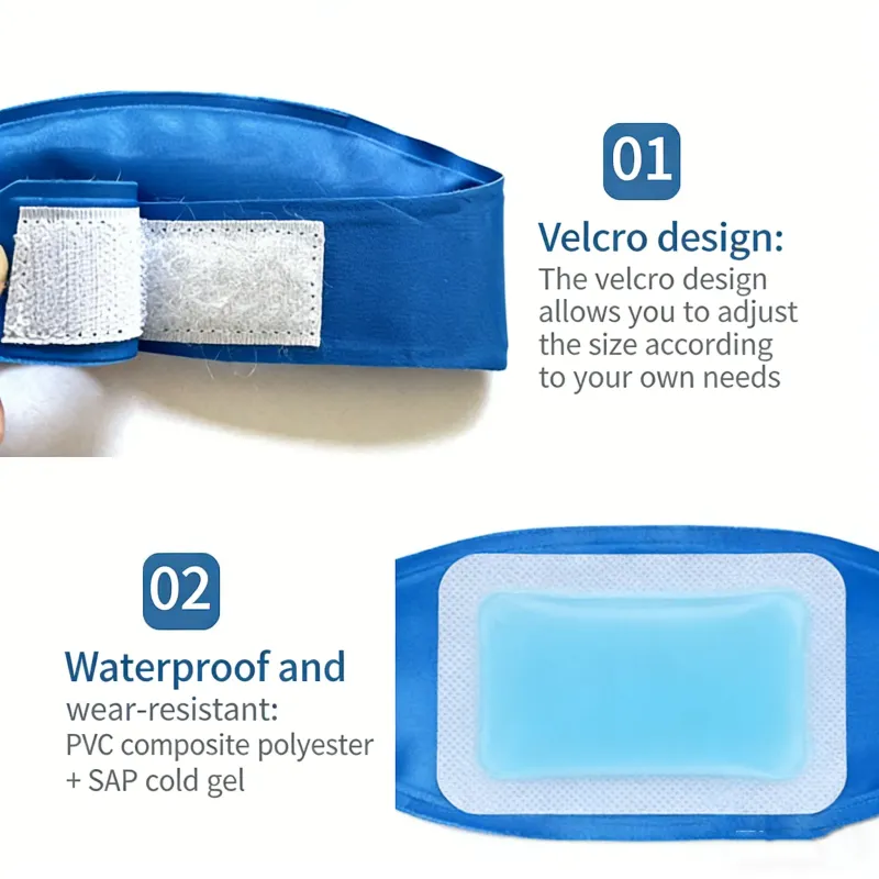 Instant Cooling Collar for Pets 4