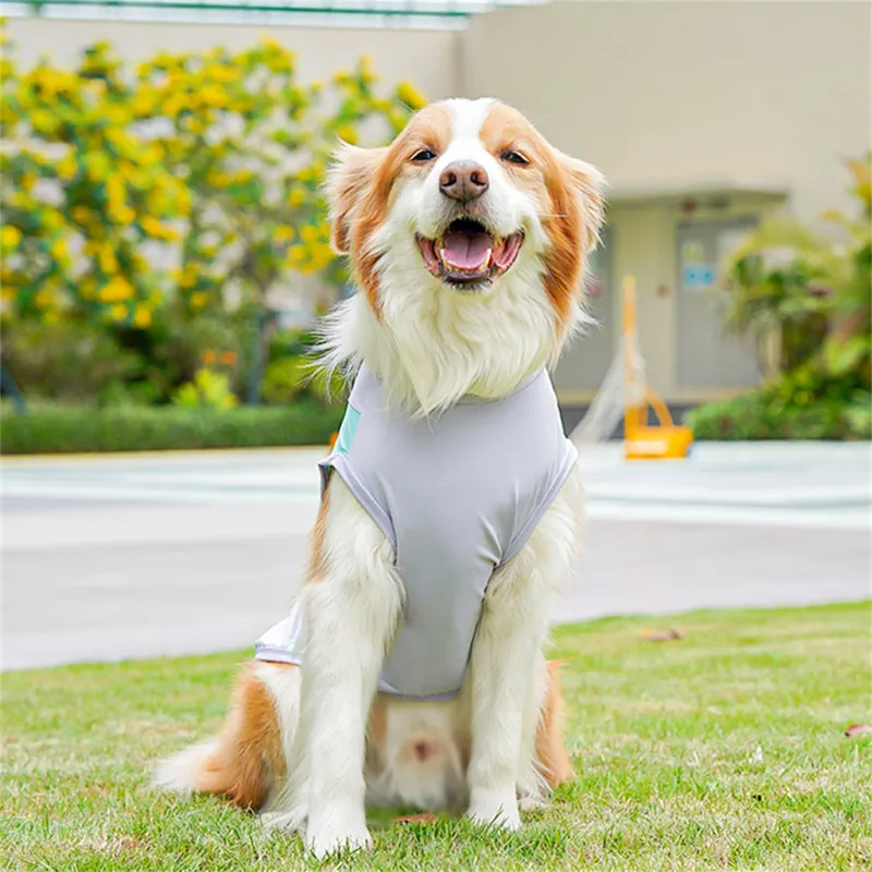 Ice Silk Cooling Puppy Vest 1