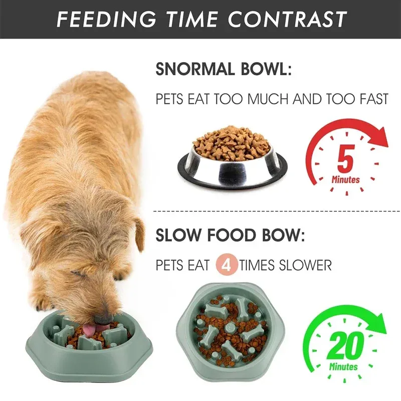 Anti-Choking Slow Feeder Dog Bowl 5