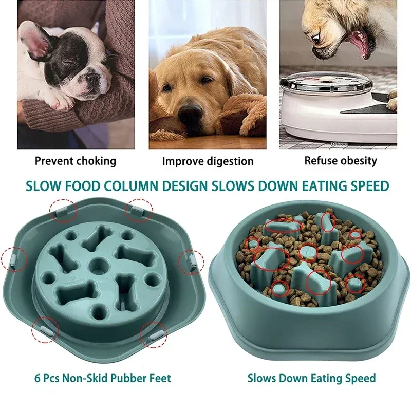 Anti-Choking Slow Feeder Dog Bowl 4