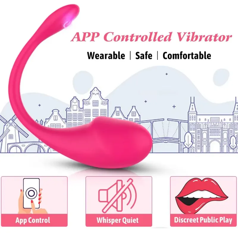 Wireless Remote Panties Vibrator with App 6