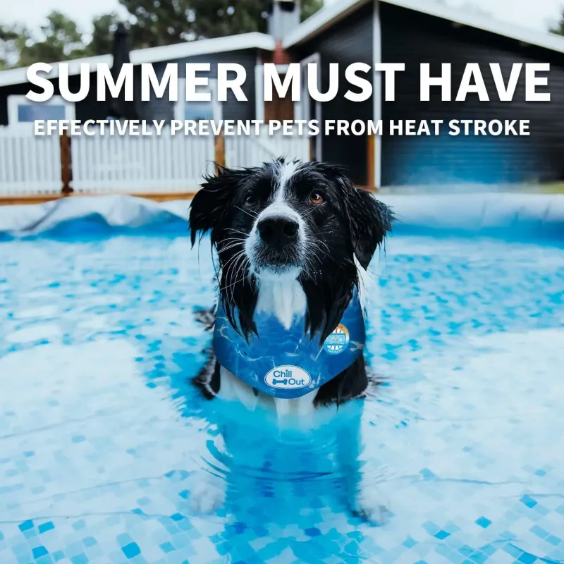 Reusable Dog Cooling Bandana 3